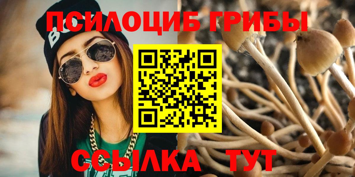 Галлюциногенные грибы ЛСД  Галлюциногенные грибы прущие грибы  Владивосток  Вход с VPN 